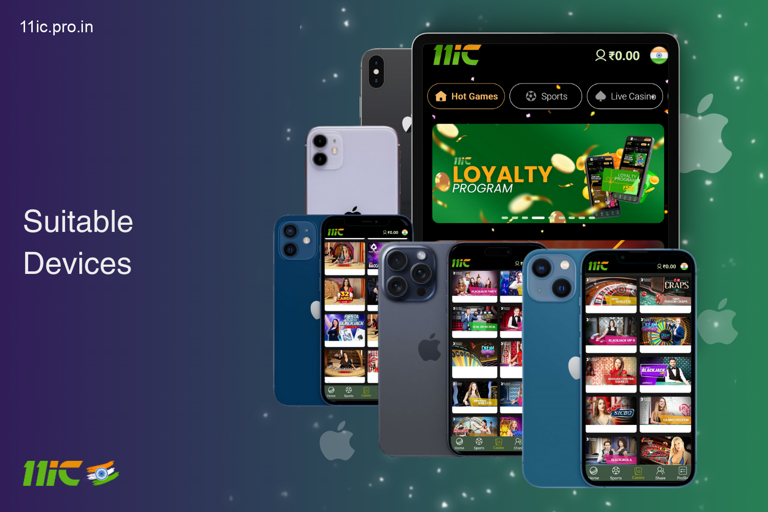 The 11ic app in India is compatible with devices on iOS 12.0 and above